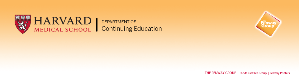 The Fenway Group Logo